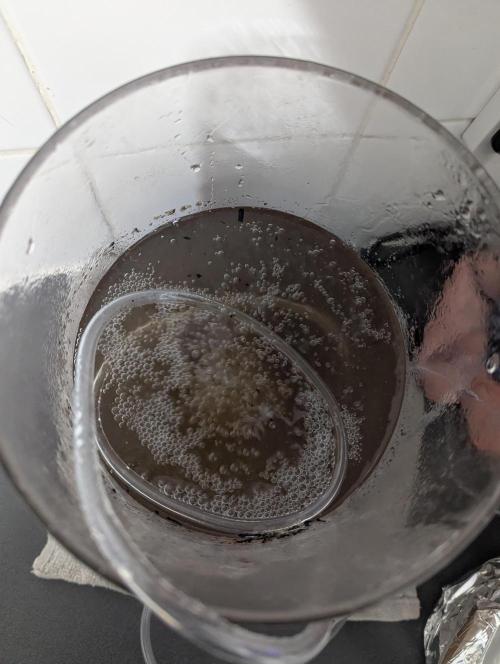 Biotabs/Autopot Tropicana Cherry. Week 9