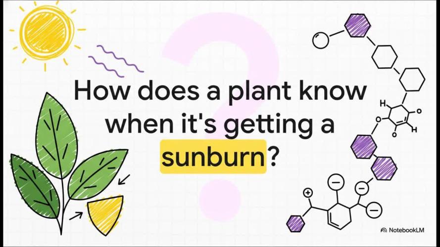 Biotabs/Autopot Tropicana Cherry