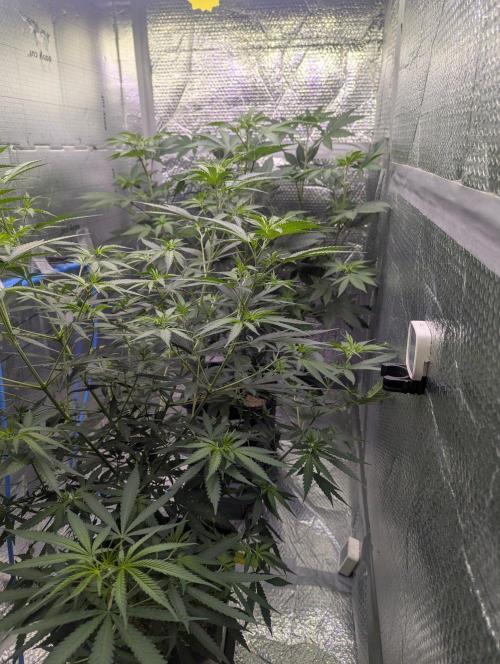RQS ~ North ThunderFuck. Week 10