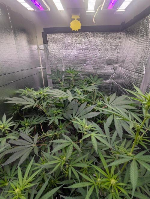 RQS ~ North ThunderFuck. Week 12
