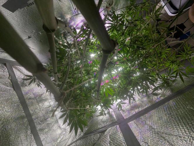 RQS ~ North ThunderFuck. Week 13