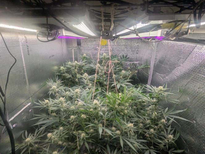 RQS ~ North ThunderFuck. Week 13