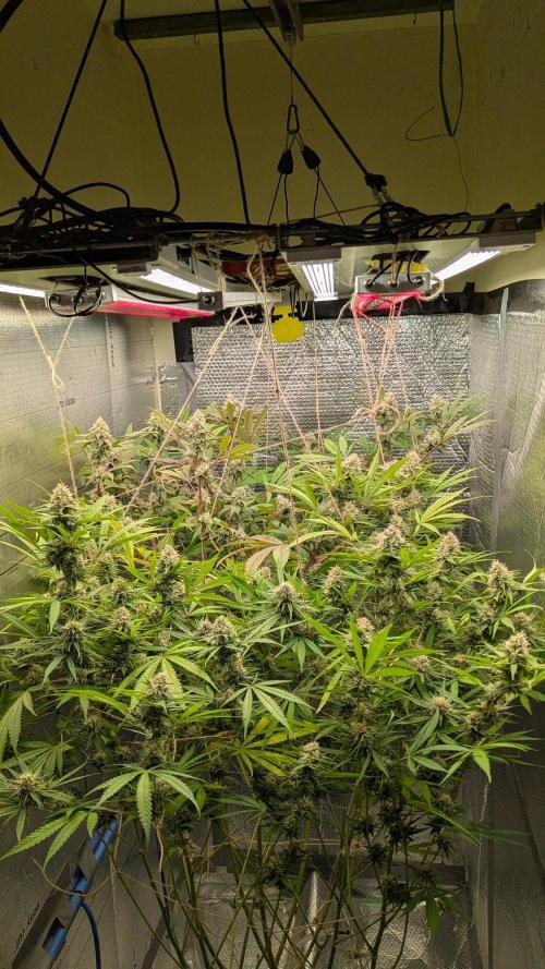 RQS ~ North ThunderFuck. Week 15