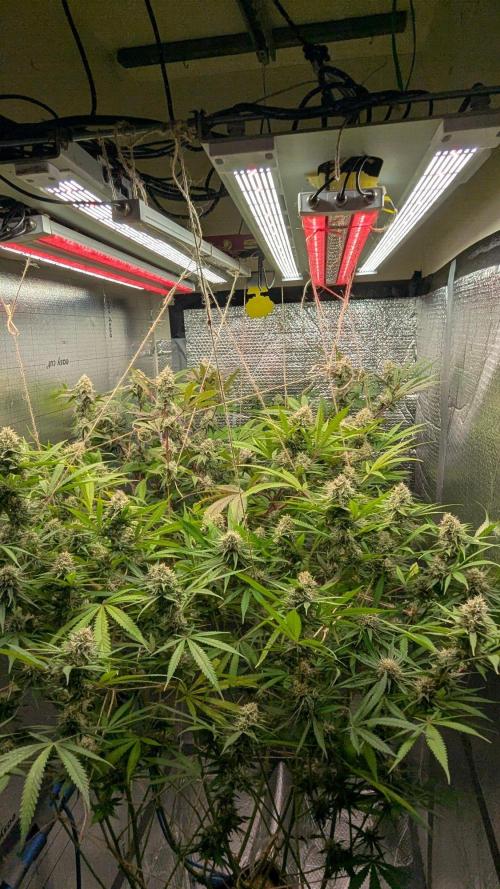 RQS ~ North ThunderFuck. Week 15