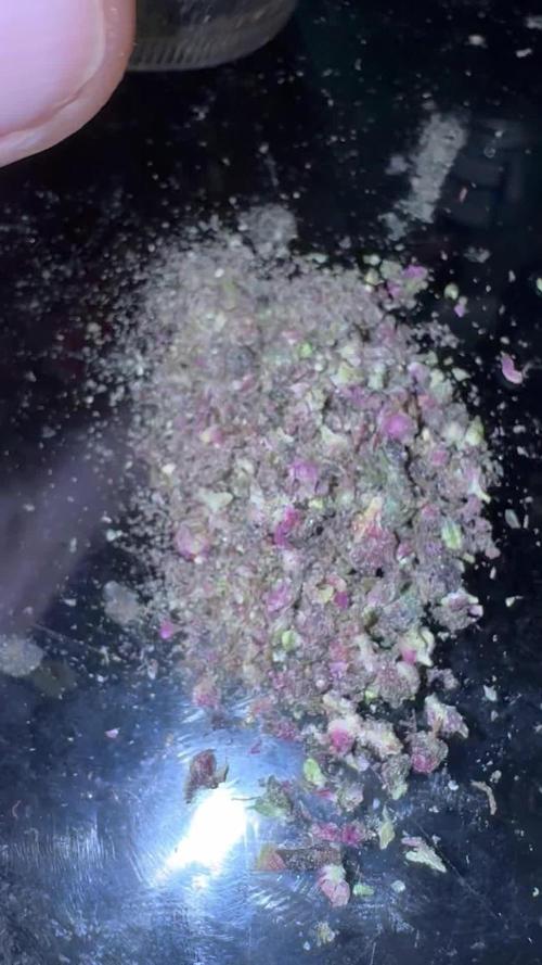 AU79 (bridal party x the queen)