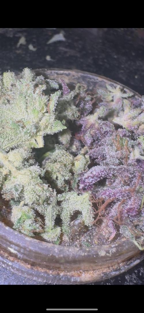 CMYK. Week 9 - Nugs week 8