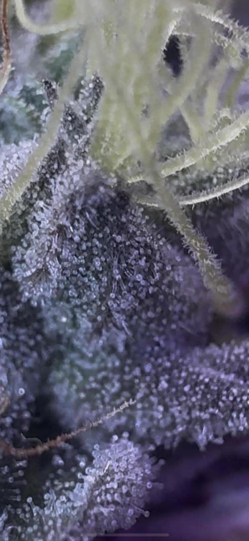 CMYK. Week 9 - Week 8