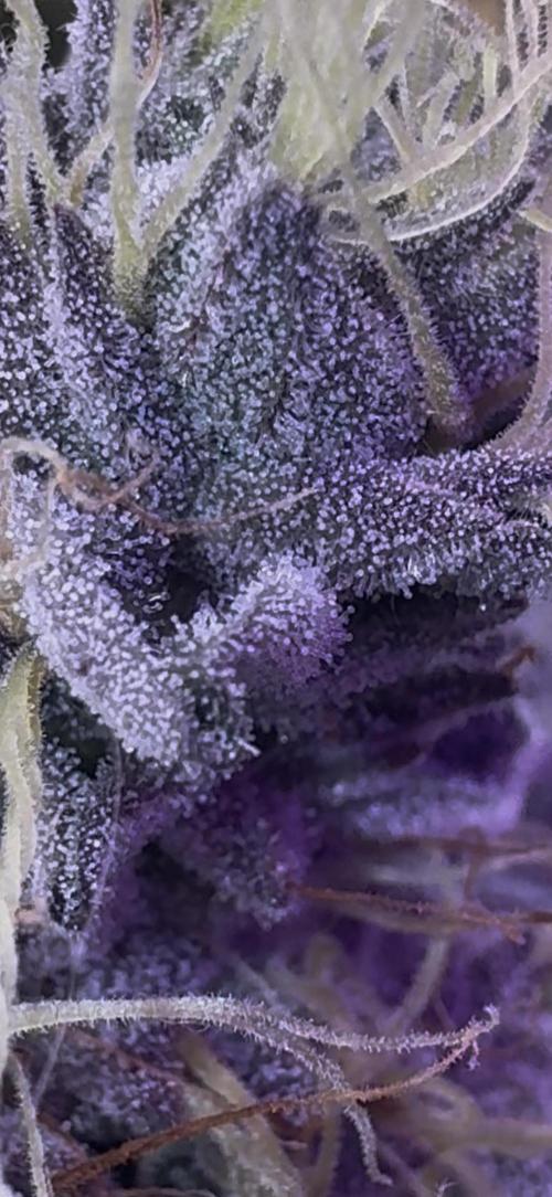 CMYK. Week 9 - Week 8