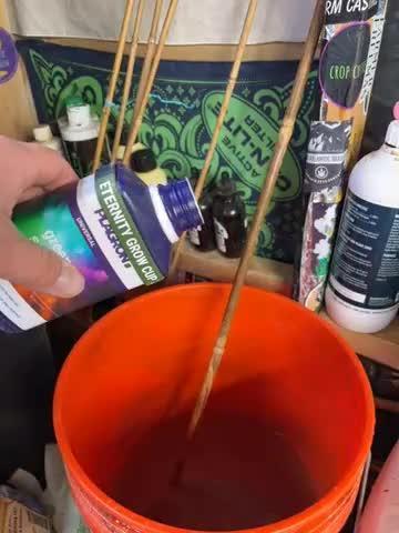 Eternity CUP 2026 Sticky Broccoli Zam Ph