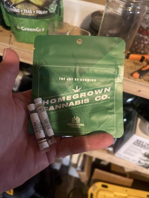 Homegrown Cannabis Co seeds Blue Lob. Week 0