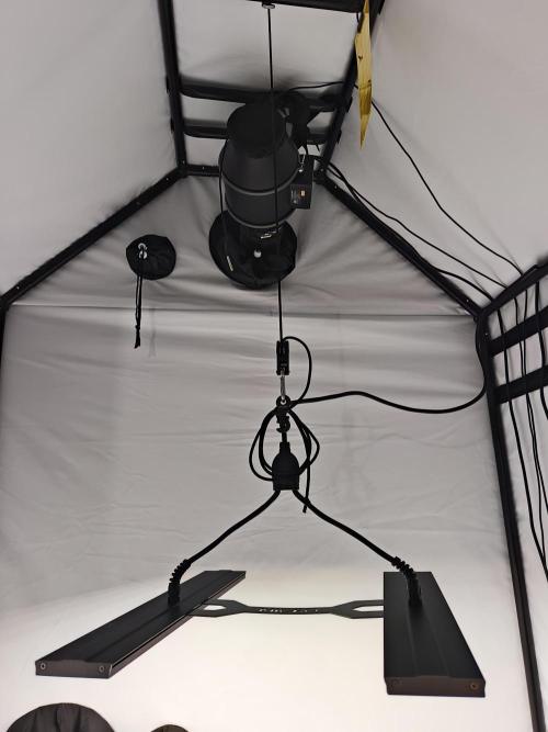 RQS Mimosa Auto - Deep Water Culture. Week 0