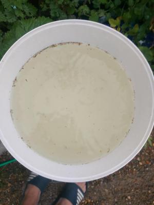 Comment by Jungle_James_Grows photo #1