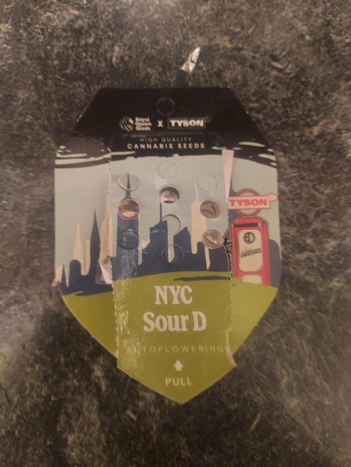 NYC Sour D Autoflower. Week 0