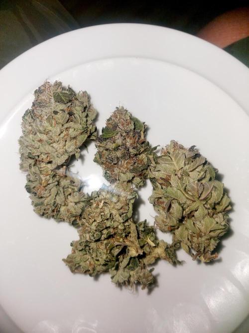 TESTER A001. Week 10