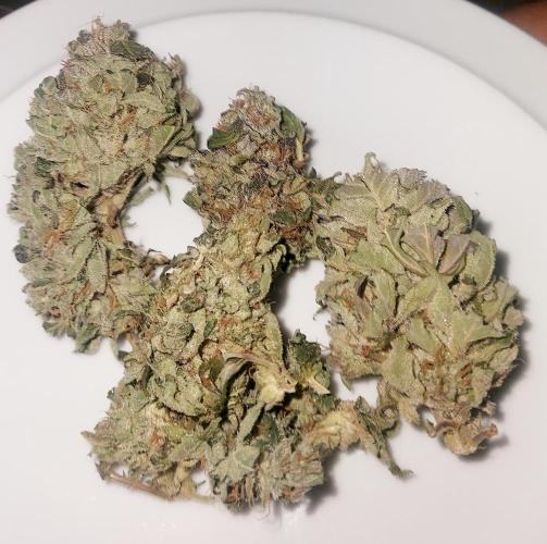 TESTER A001. Week 10
