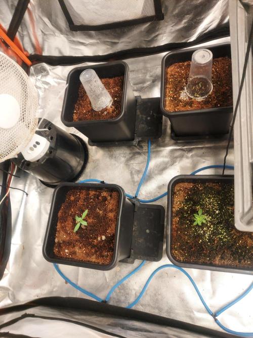 TESTER A003. Week 1