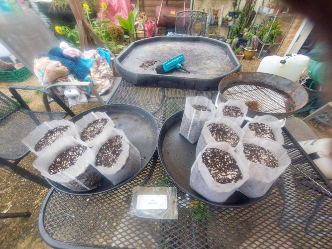 TESTER A001 Round 2. Week 0