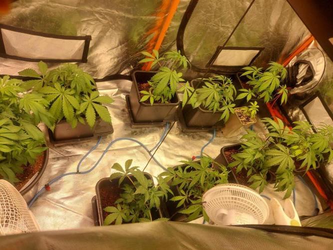 TESTER A001. Week 4