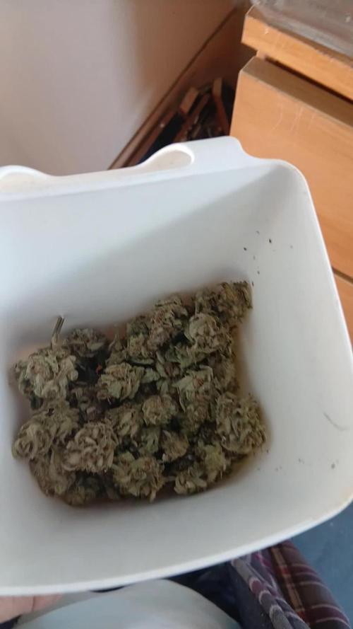 Hole load of talk about the Hool