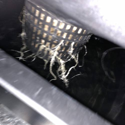 Sour diesel dwc grow. Week 4