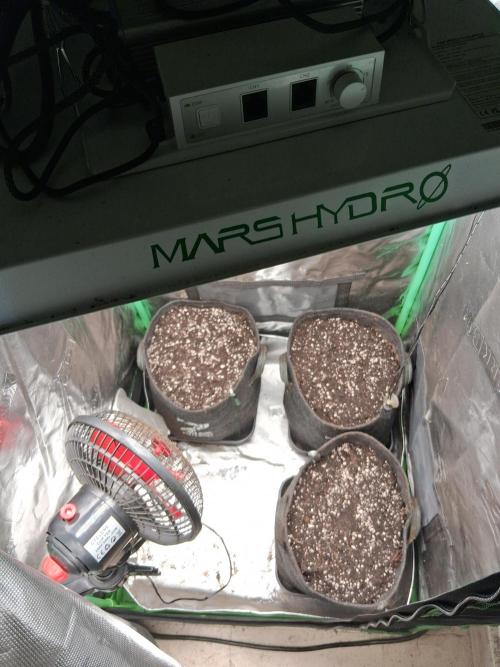 godfeather og f1 auto. Week 0