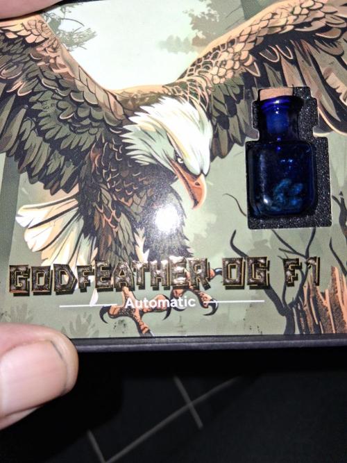 godfeather og f1 auto. Week 0