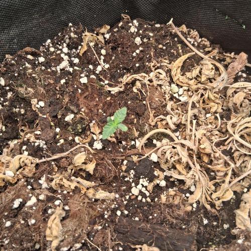 été 2026. Week 0 - Today