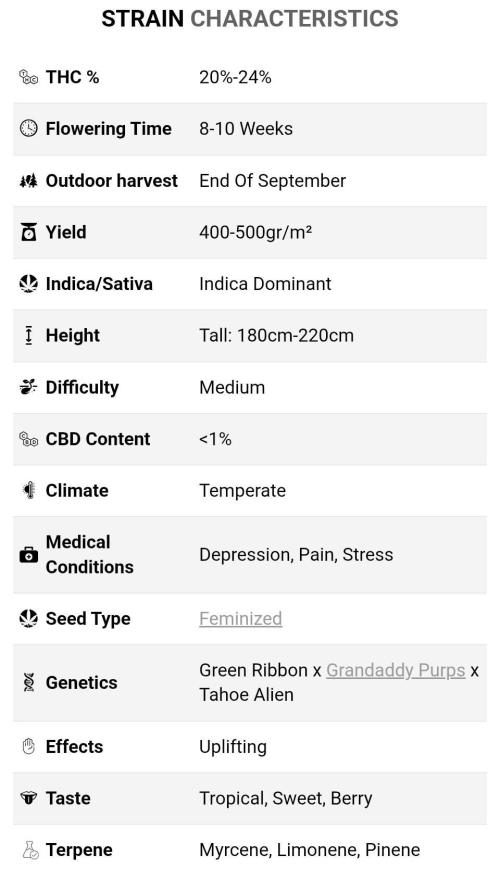 Fruity Pebbles. Week 0