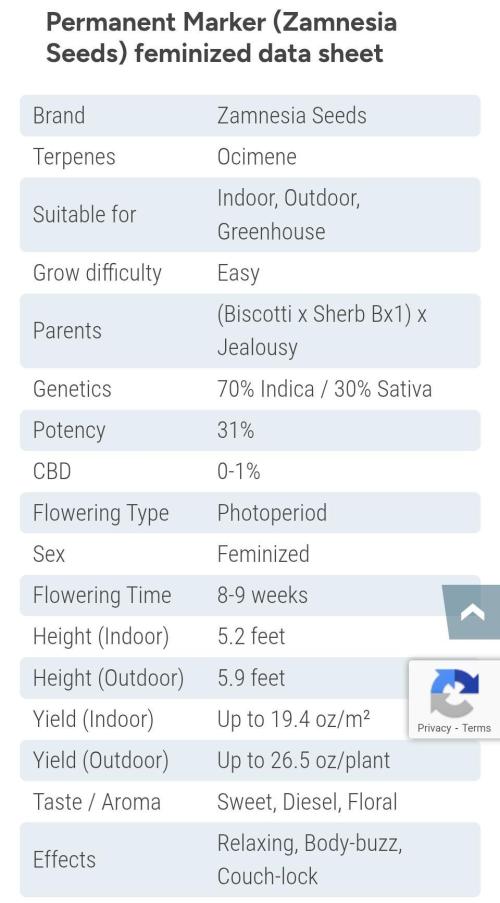 Permanent Marker. Week 0