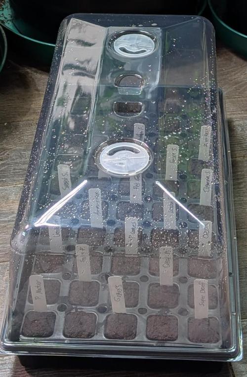 London Pound Cake. Week 0