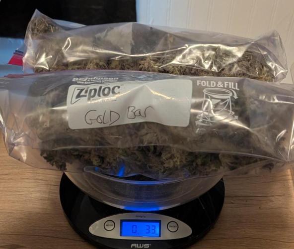 Gold Bar Kush. Week 25