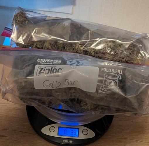 Gold Bar Kush. Week 25