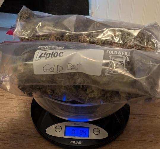 Gold Bar Kush. Week 25