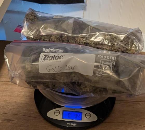 Gold Bar Kush. Week 25