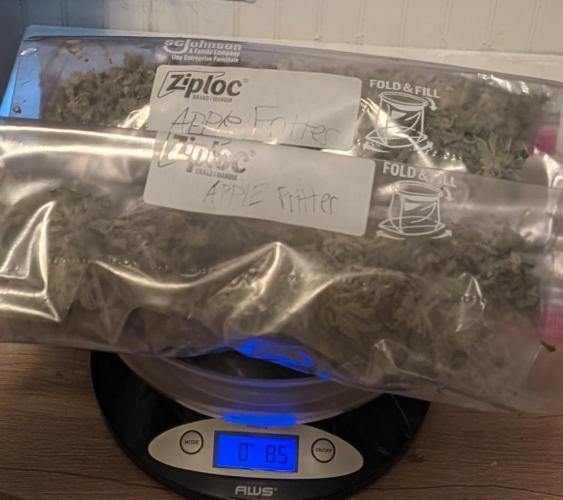 Apple Fritter. Week 27