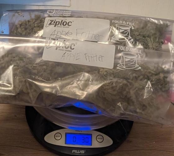 Apple Fritter. Week 27