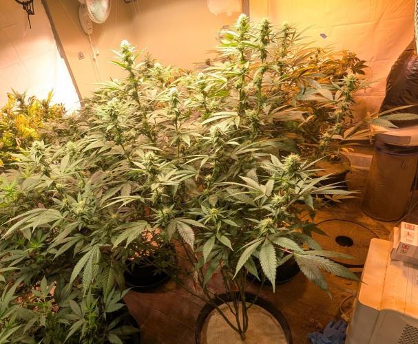 Super Boof. Week 18