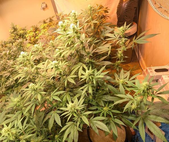 Super Boof. Week 18