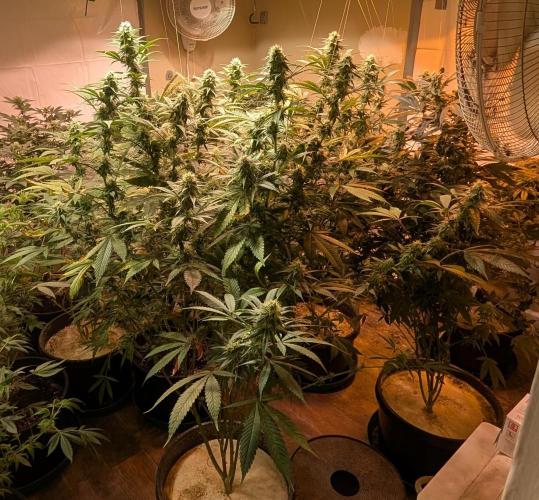 Super Boof. Week 19