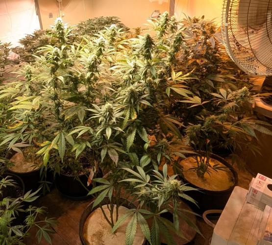 Super Boof. Week 19