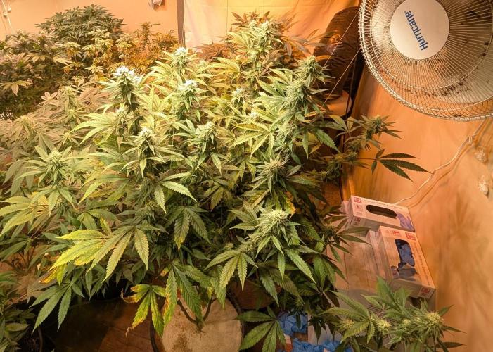 Super Boof. Week 19