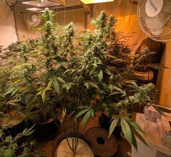 Super Boof. Week 19