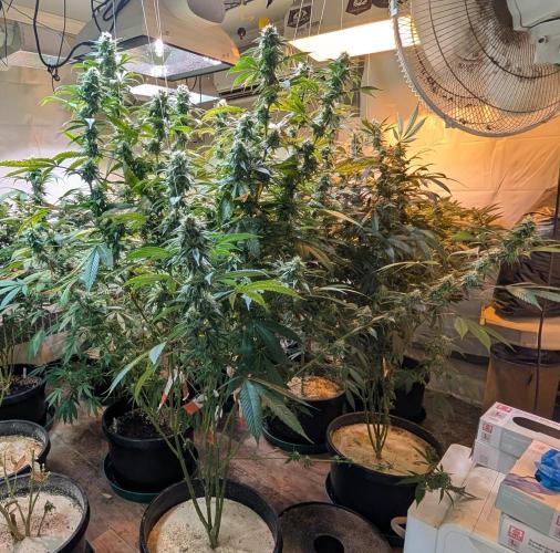Super Boof. Week 21
