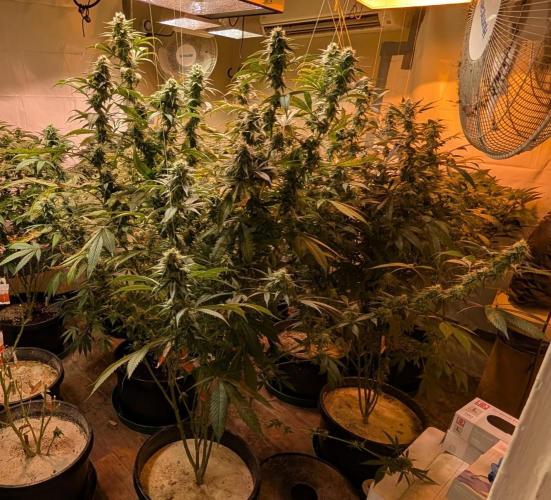 Super Boof. Week 21