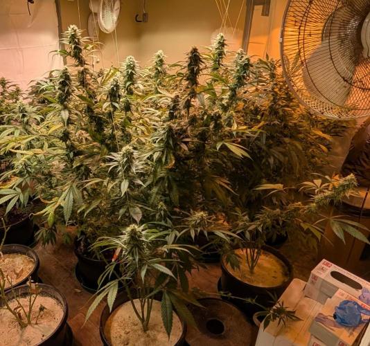 Super Boof. Week 21