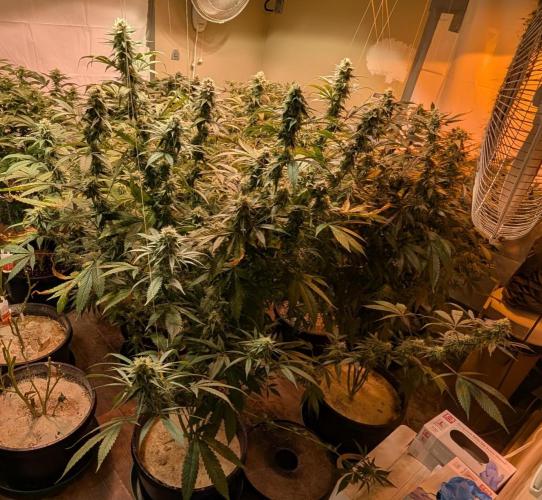 Super Boof. Week 21