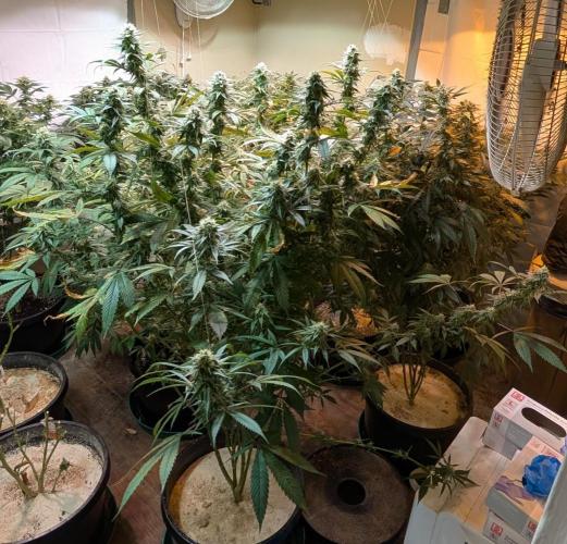 Super Boof. Week 21