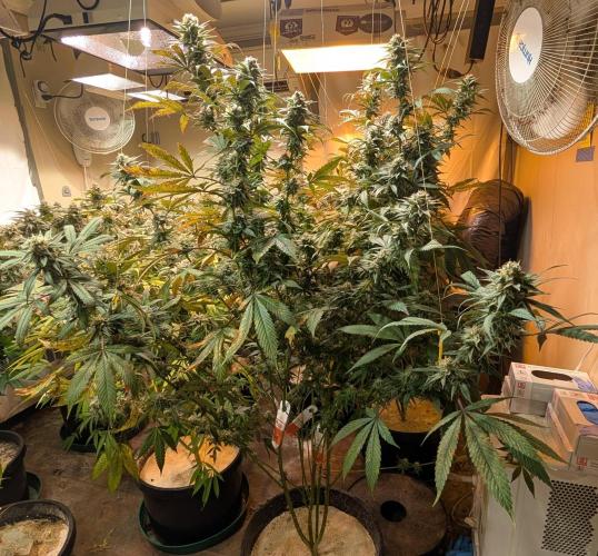 Super Boof. Week 22