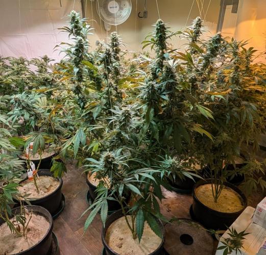 Super Boof. Week 22