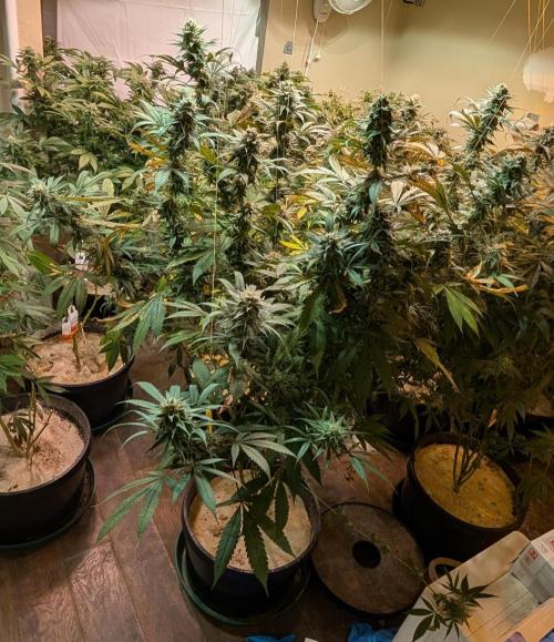 Super Boof. Week 22